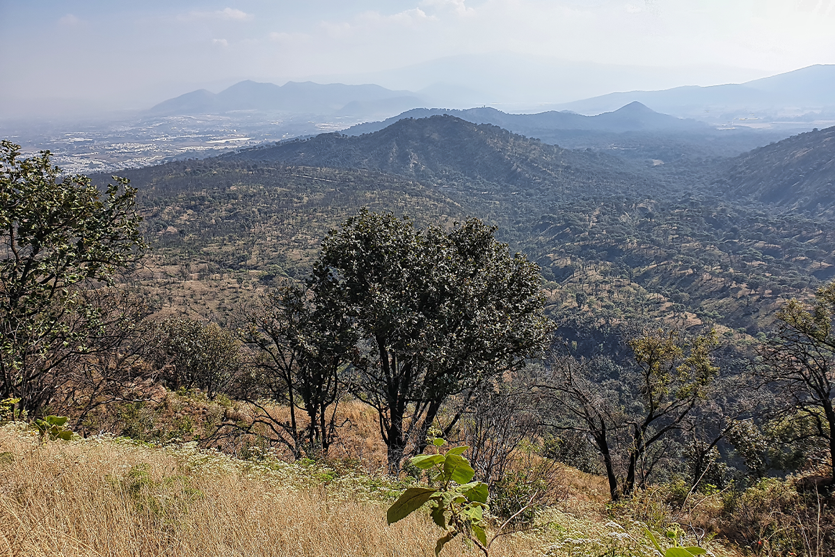 Imagen Montaña